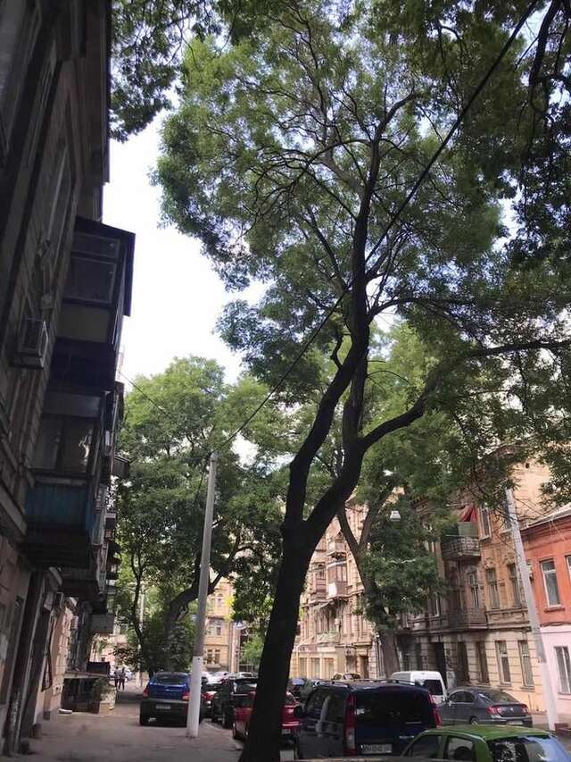 Апартаменты #8 Apartments Одесса-30